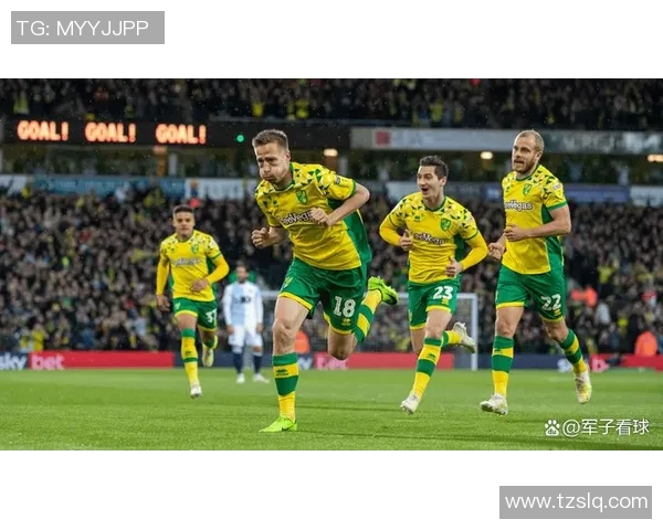 诺维奇主场迎战罗瑟汉姆期待精彩对决与胜利之争